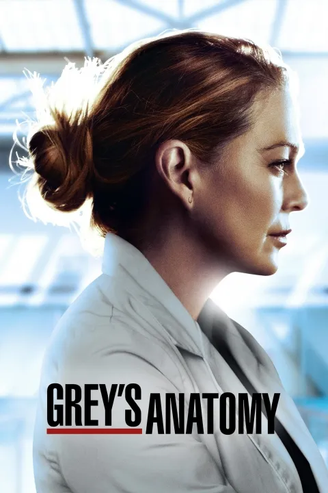پوستر Grey's Anatomy
آناتومی گری