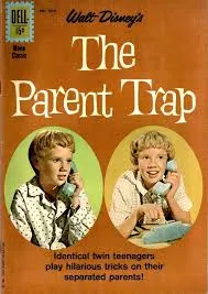 پوستر The Parent Trap
دام والدین