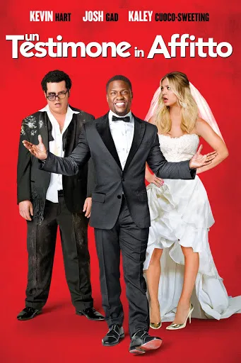پوستر The Wedding Ringer
سخنران عروسی
