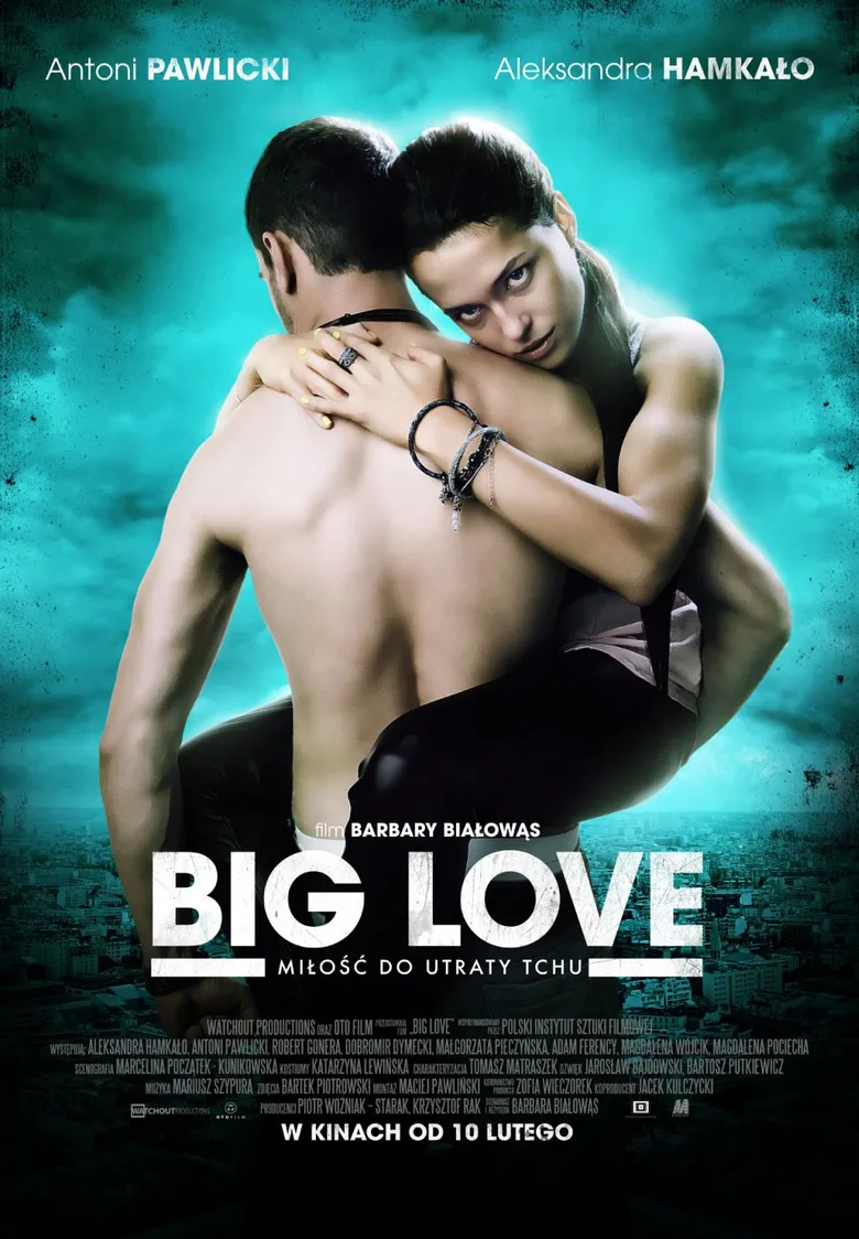 پوستر Big Love